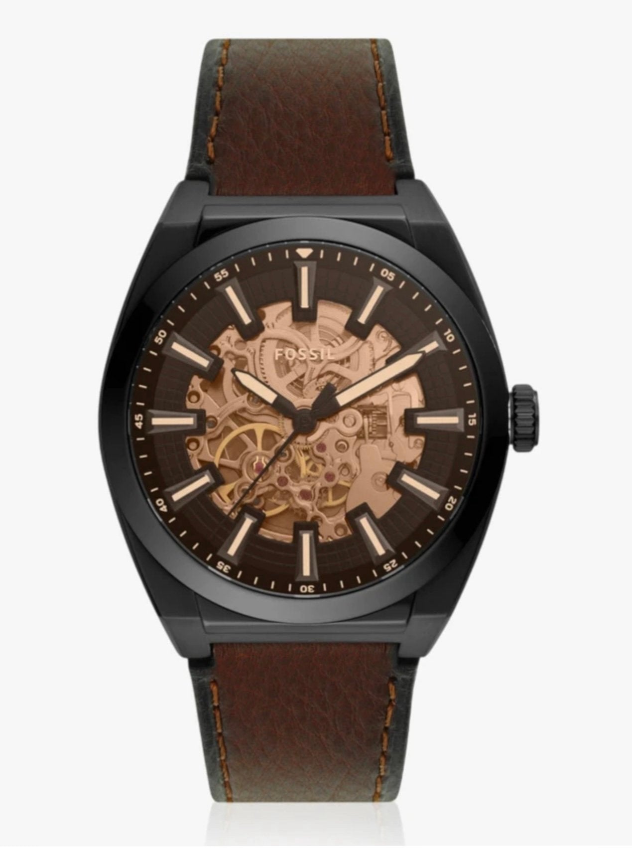 Fossil Everett